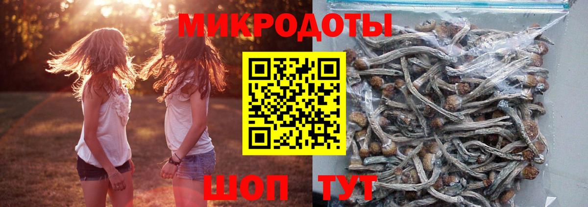 Галлюциногенные грибы Psilocybe Ливны